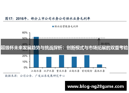 超级杯未来发展趋势与挑战探析：创新模式与市场拓展的双重考验