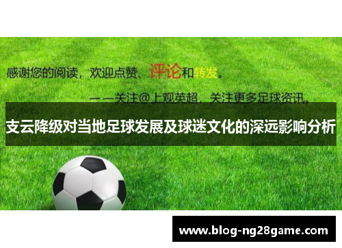支云降级对当地足球发展及球迷文化的深远影响分析
