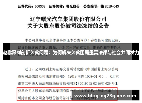赵鹏深刻剖析欠薪问题：为何解决欠薪困局亟需法律与社会共同发力