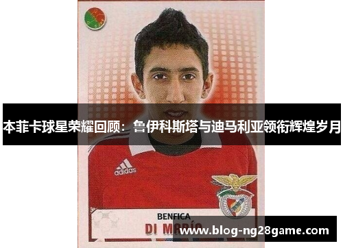 本菲卡球星荣耀回顾：鲁伊科斯塔与迪马利亚领衔辉煌岁月