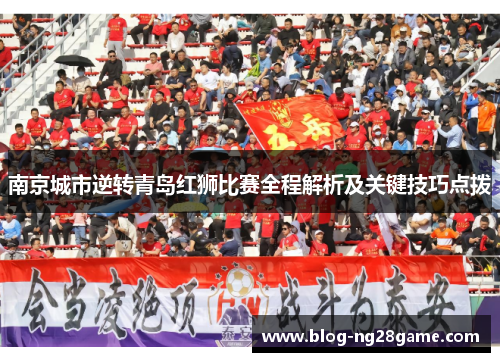 南京城市逆转青岛红狮比赛全程解析及关键技巧点拨