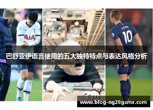 巴舒亚伊语言使用的五大独特特点与表达风格分析