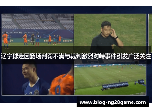 辽宁球迷因赛场判罚不满与裁判激烈对峙事件引发广泛关注