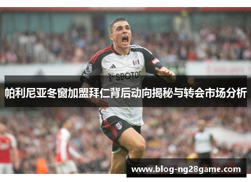 帕利尼亚冬窗加盟拜仁背后动向揭秘与转会市场分析